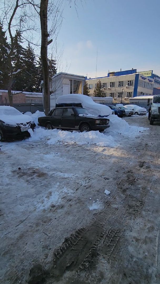 Одинцово, Густ, Гибдд, Штрафстоянки,