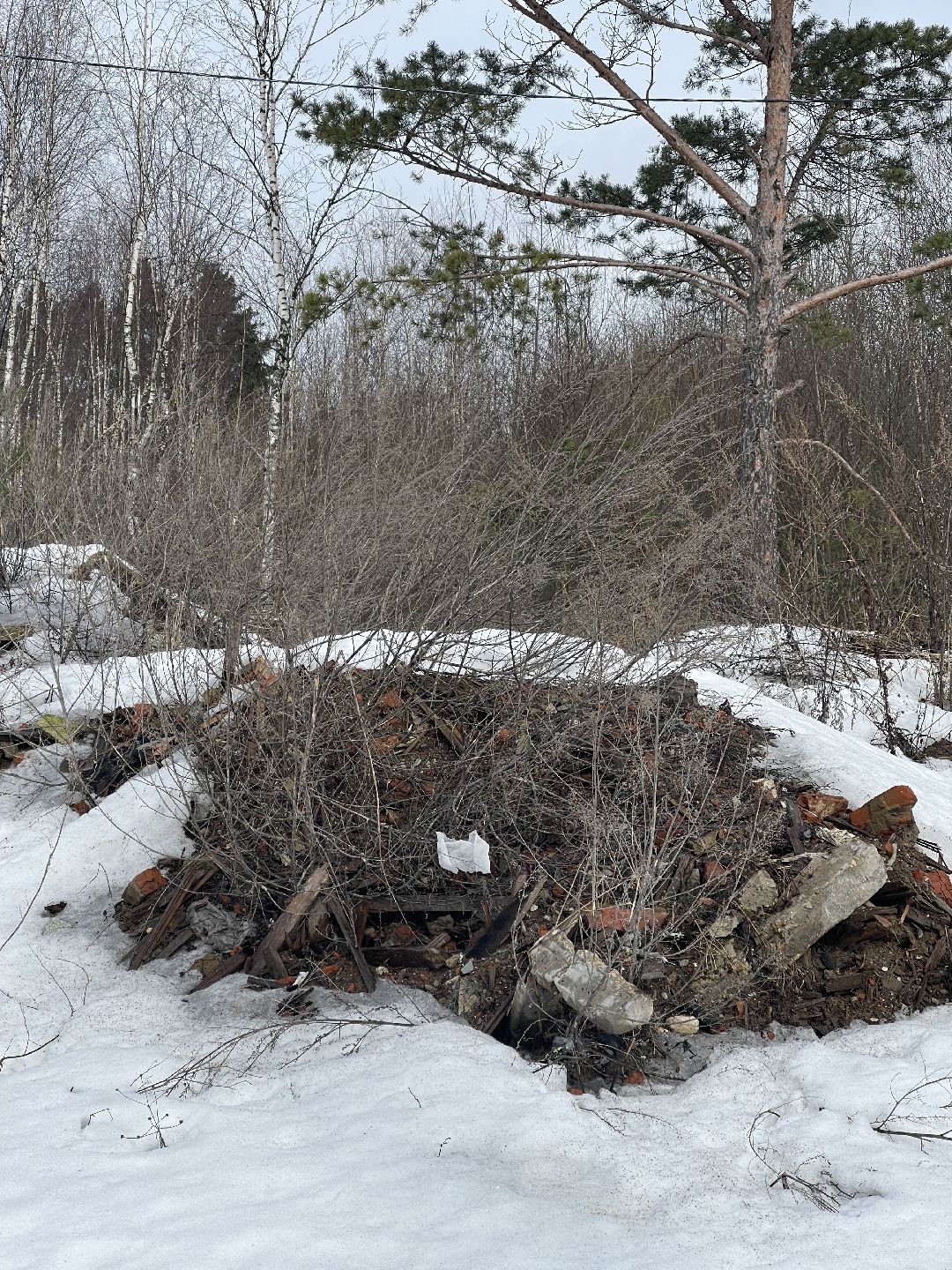 СНТ «Иванов угол», Чапаевка, Одинцовский городской округ, Свалка, экология, министерство экологии и природопользования, иск, суд, штраф, ущерб,