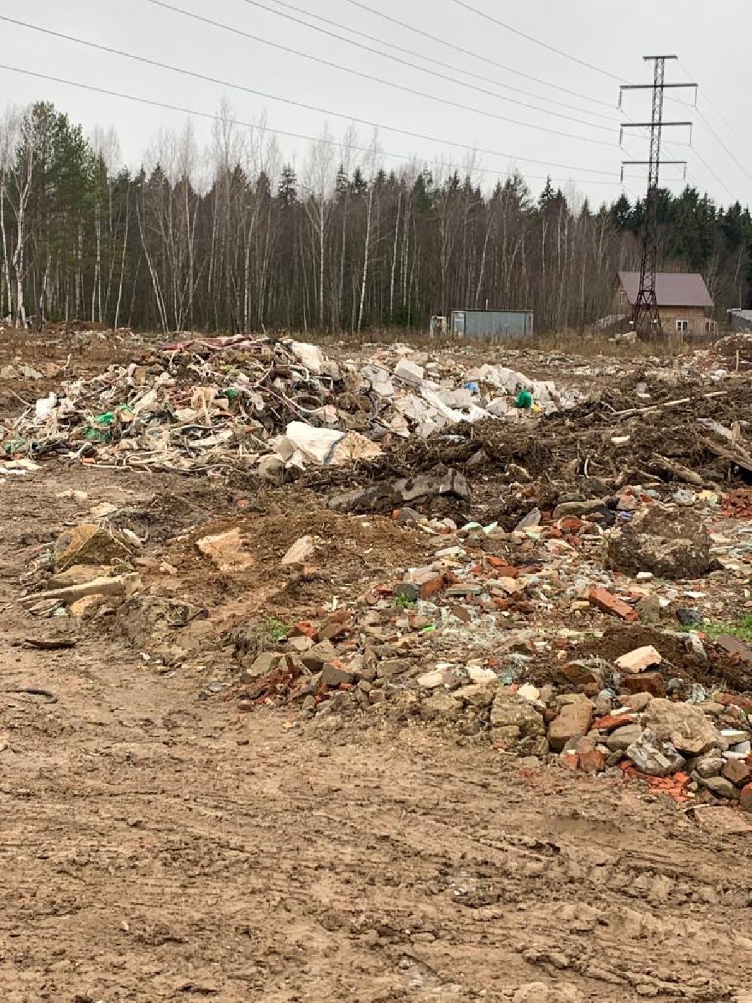 СНТ «Иванов угол», Чапаевка, Одинцовский городской округ, Свалка, экология, министерство экологии и природопользования, иск, суд, штраф, ущерб,