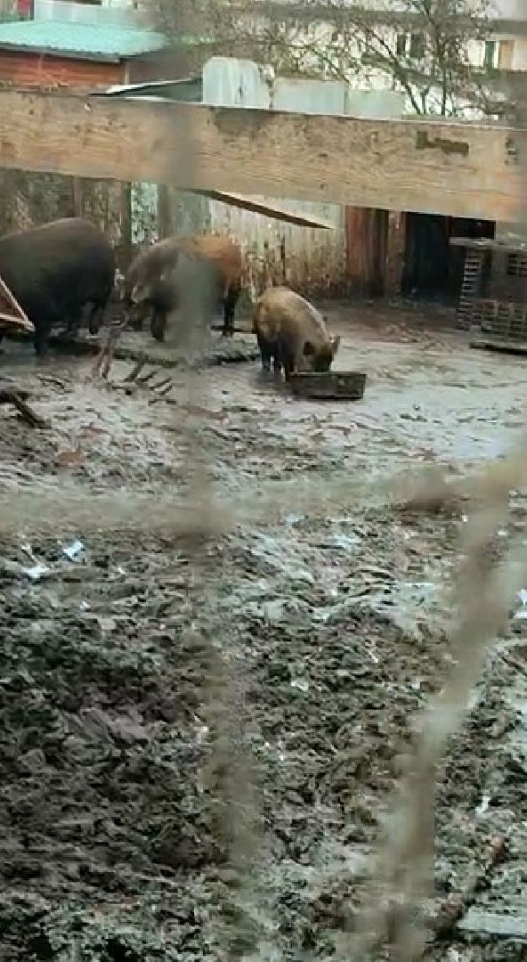 Наро-Фоминск, общество