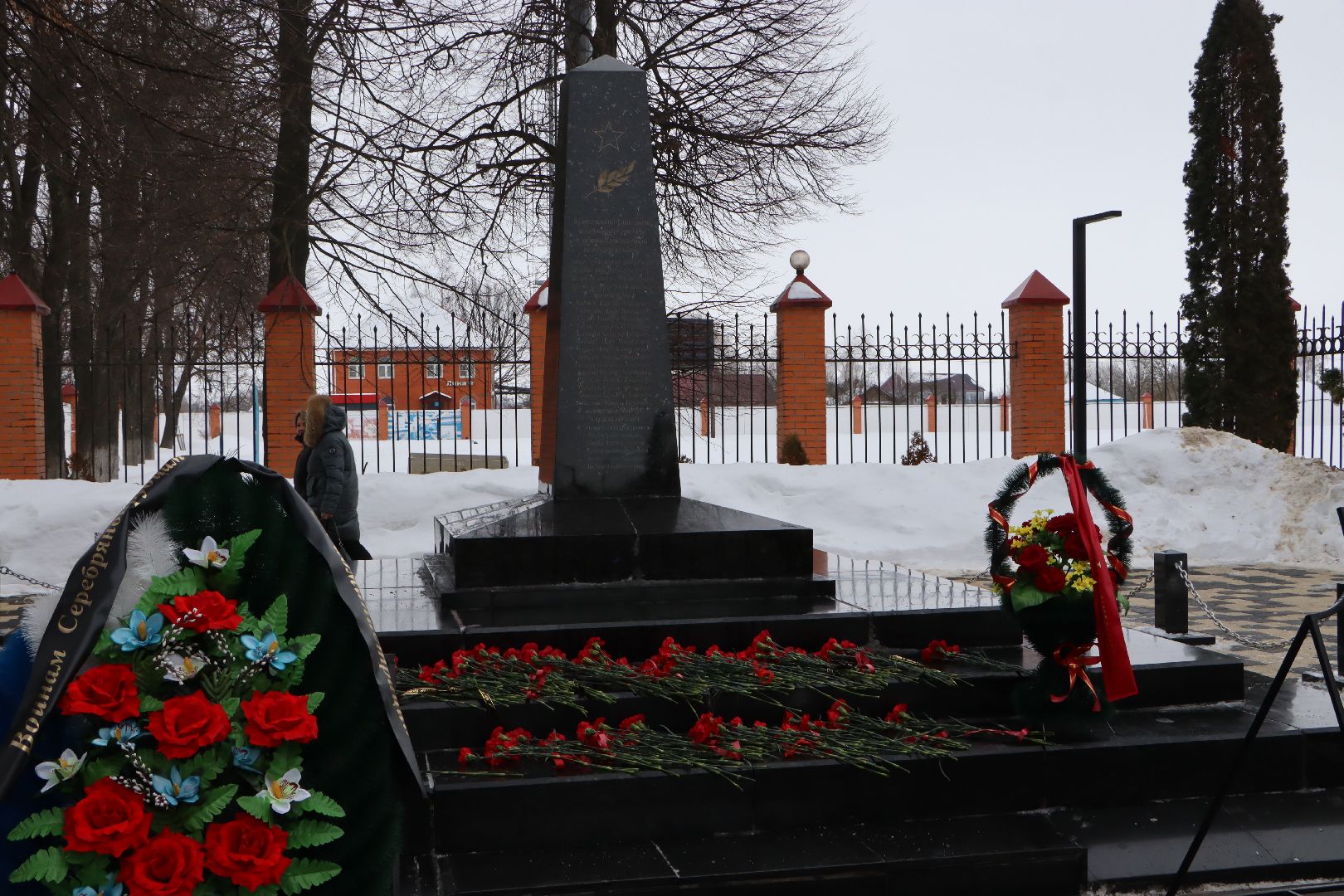 Серебряные Пруды, День Защитника Отечества, Братская Могила, возложение,