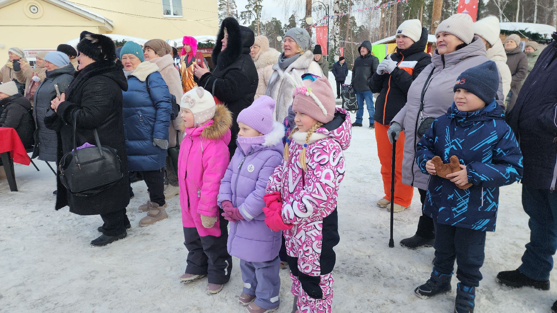 шатура, мода из зимнего комода, зима в парке, зима в подмомсковье, областной праздник,