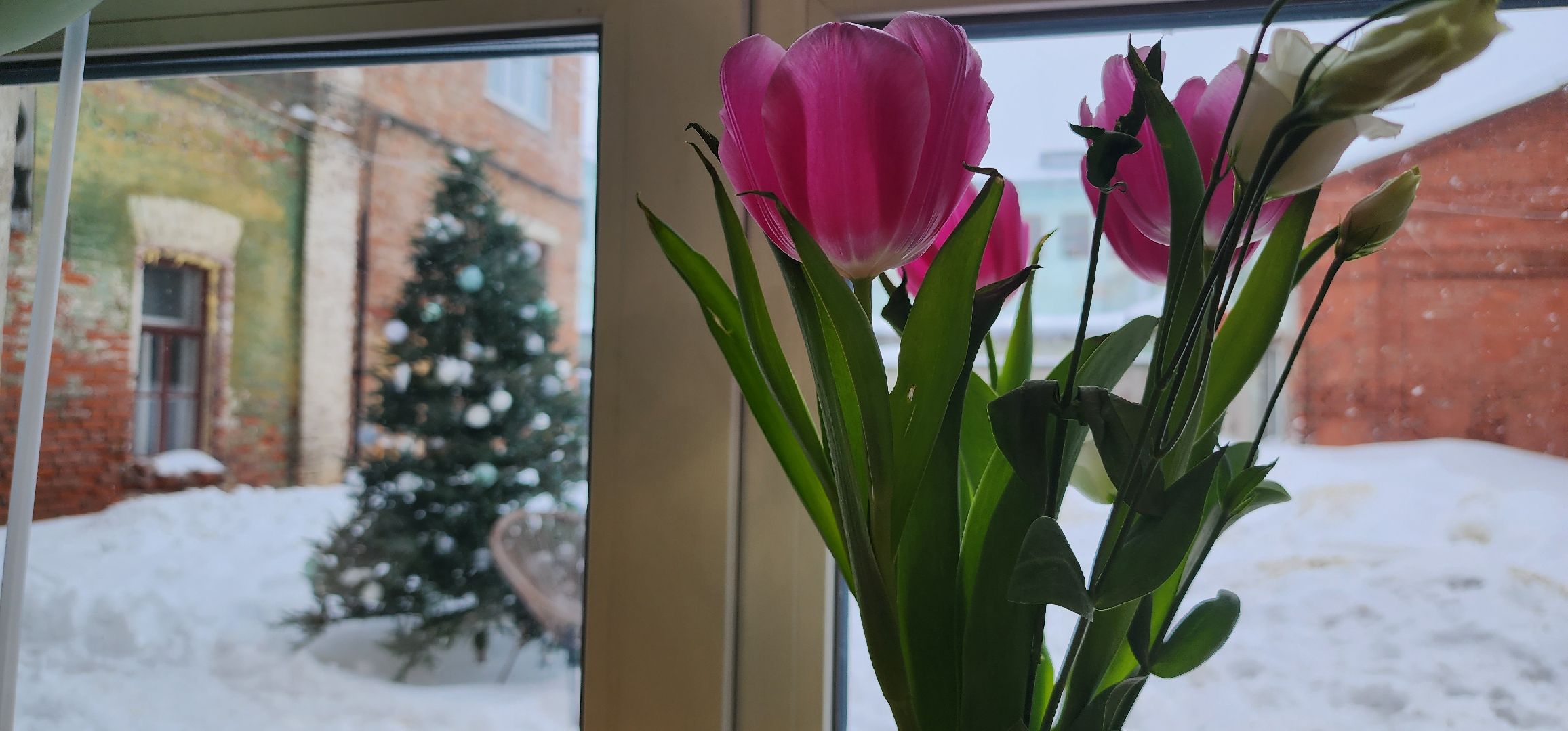 Коломна, еда, туризм,