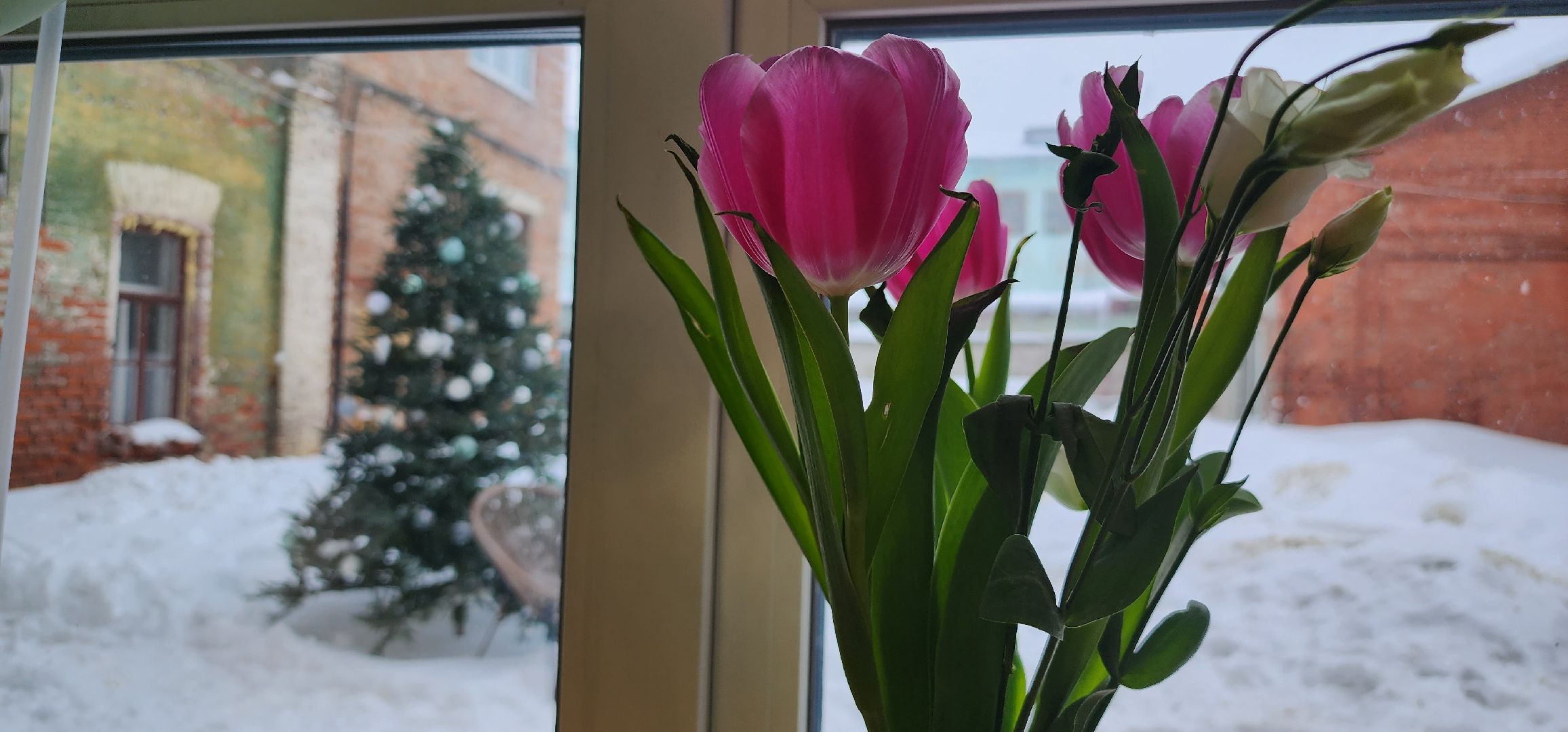 Коломна, еда, туризм,