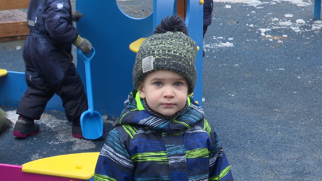 Реутов, образование, детский сад, звери, цветовое решение, образовательный кластер