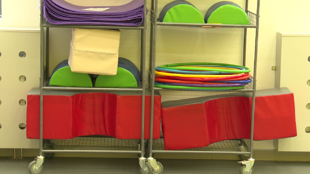 Реутов, образование, детский сад, звери, цветовое решение, образовательный кластер