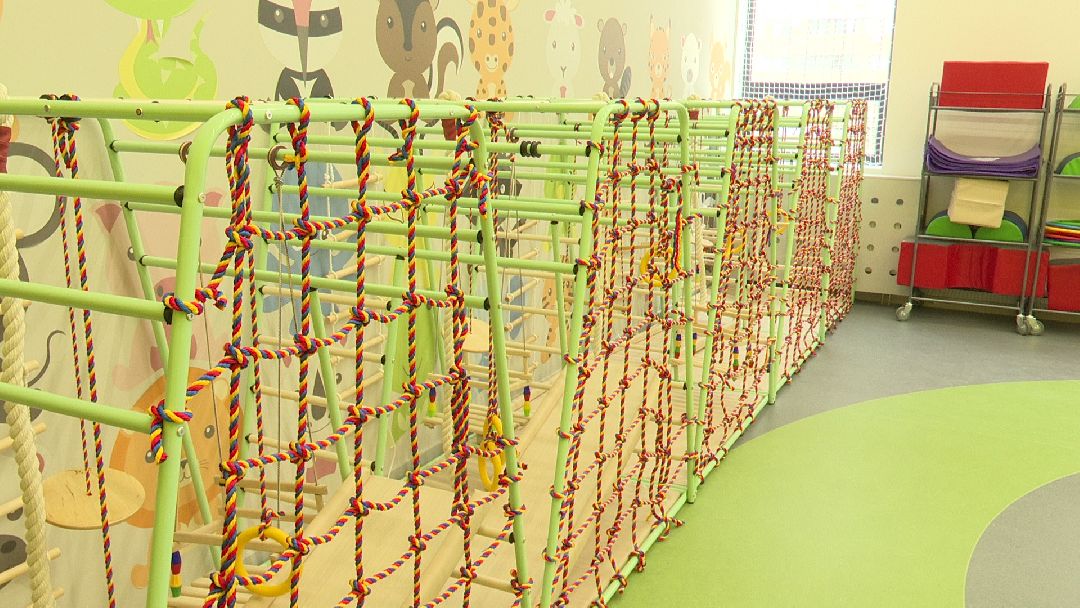 Реутов, образование, детский сад, звери, цветовое решение, образовательный кластер