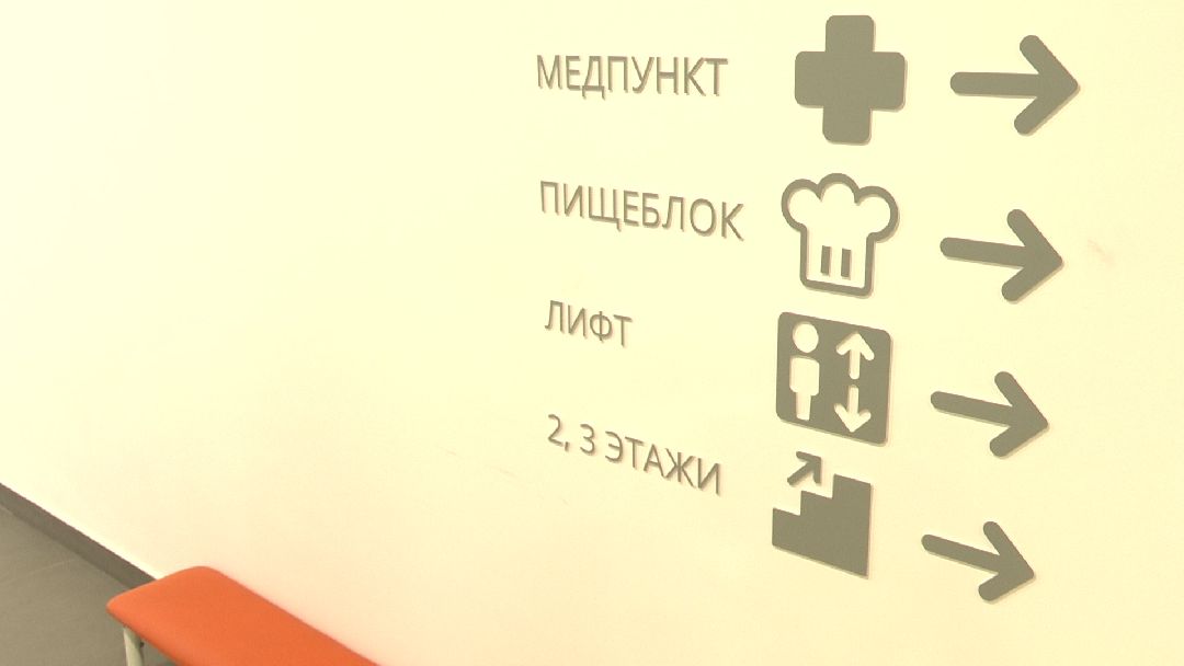 Реутов, образование, детский сад, звери, цветовое решение, образовательный кластер