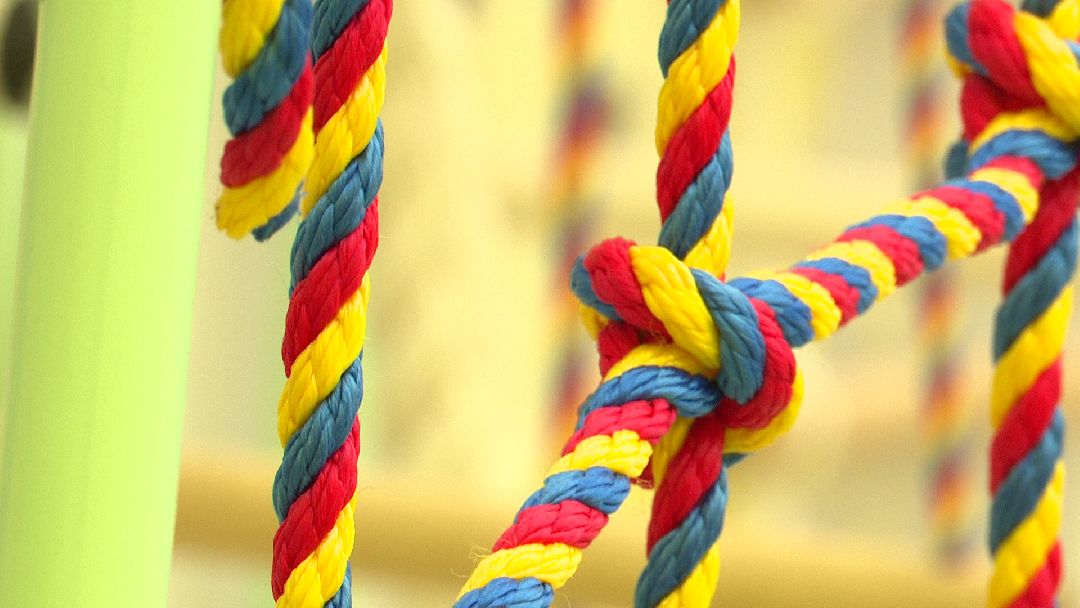 Реутов, образование, детский сад, звери, цветовое решение, образовательный кластер