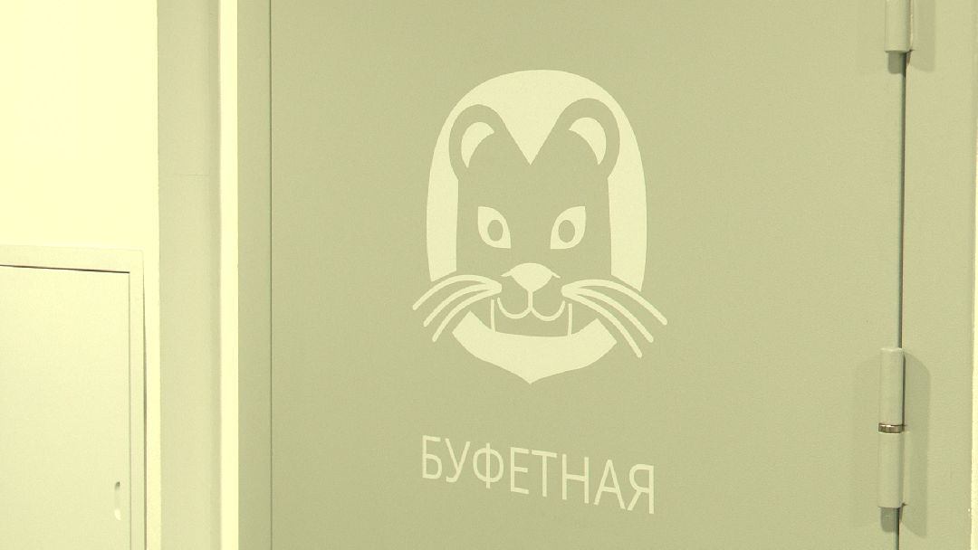 Реутов, образование, детский сад, звери, цветовое решение, образовательный кластер
