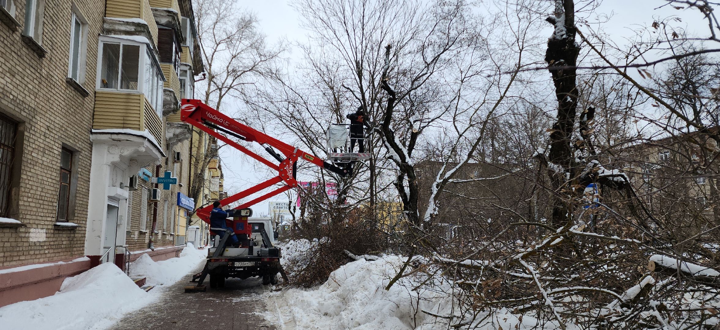 электросталь, мой город, жкх, жкх и благоустройство, обрезка деревьев, коммунальщики, чистый город, безопасность жителей,