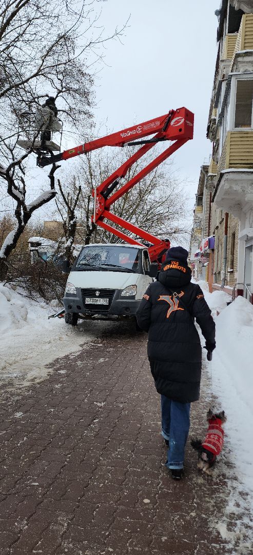 электросталь, мой город, жкх, жкх и благоустройство, обрезка деревьев, коммунальщики, чистый город, безопасность жителей,