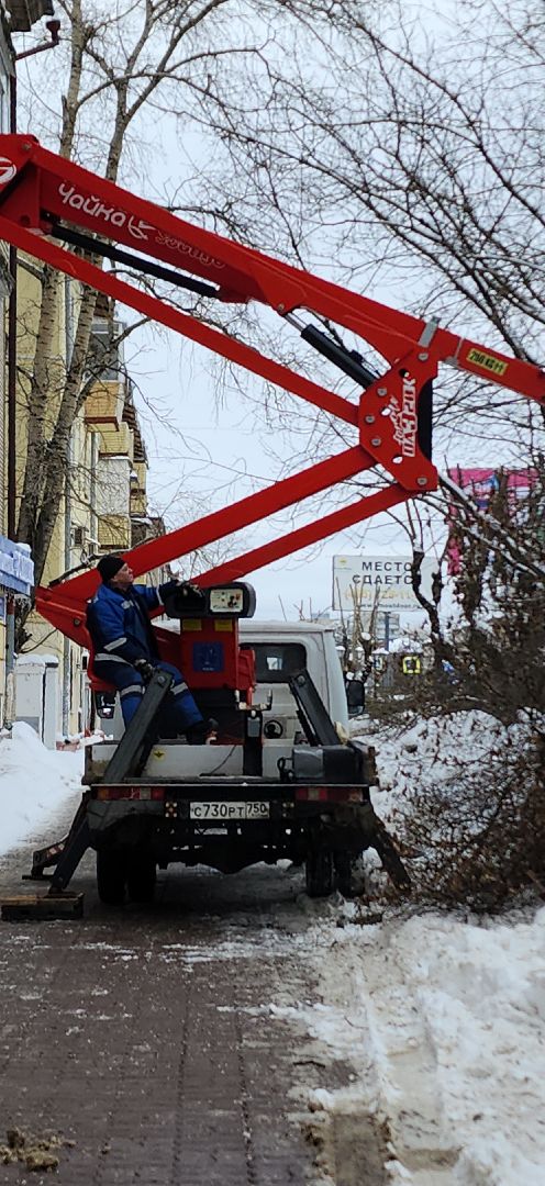 электросталь, мой город, жкх, жкх и благоустройство, обрезка деревьев, коммунальщики, чистый город, безопасность жителей,