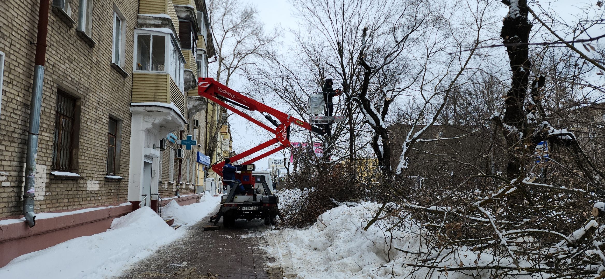 электросталь, мой город, жкх, жкх и благоустройство, обрезка деревьев, коммунальщики, чистый город, безопасность жителей,