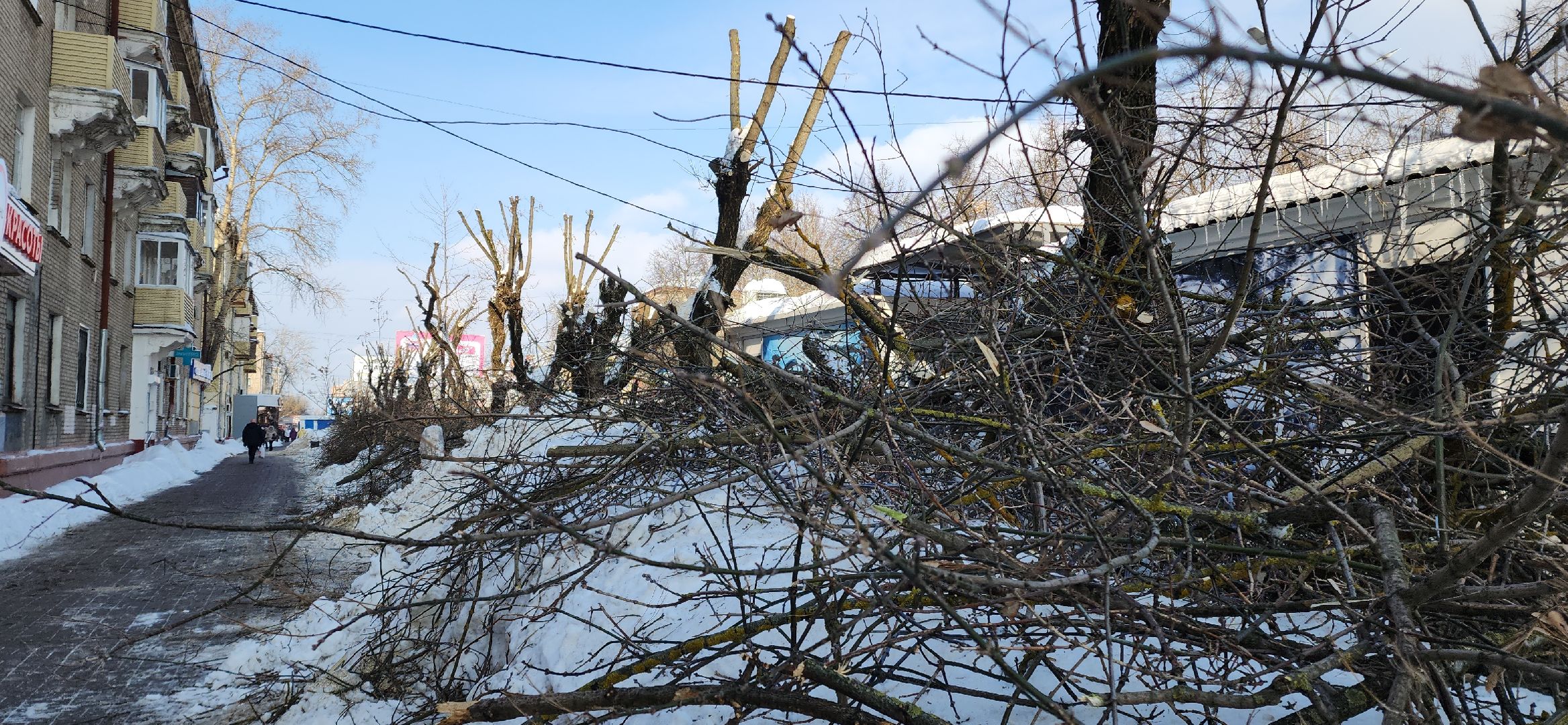 электросталь, мой город, жкх, жкх и благоустройство, обрезка деревьев, коммунальщики, чистый город, безопасность жителей,