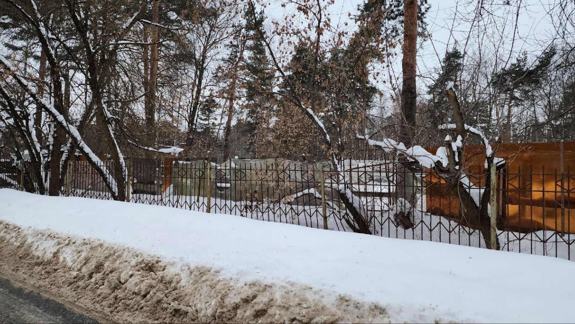 Люберцы, Люберецкий конный двор, малаховка, конюшня,