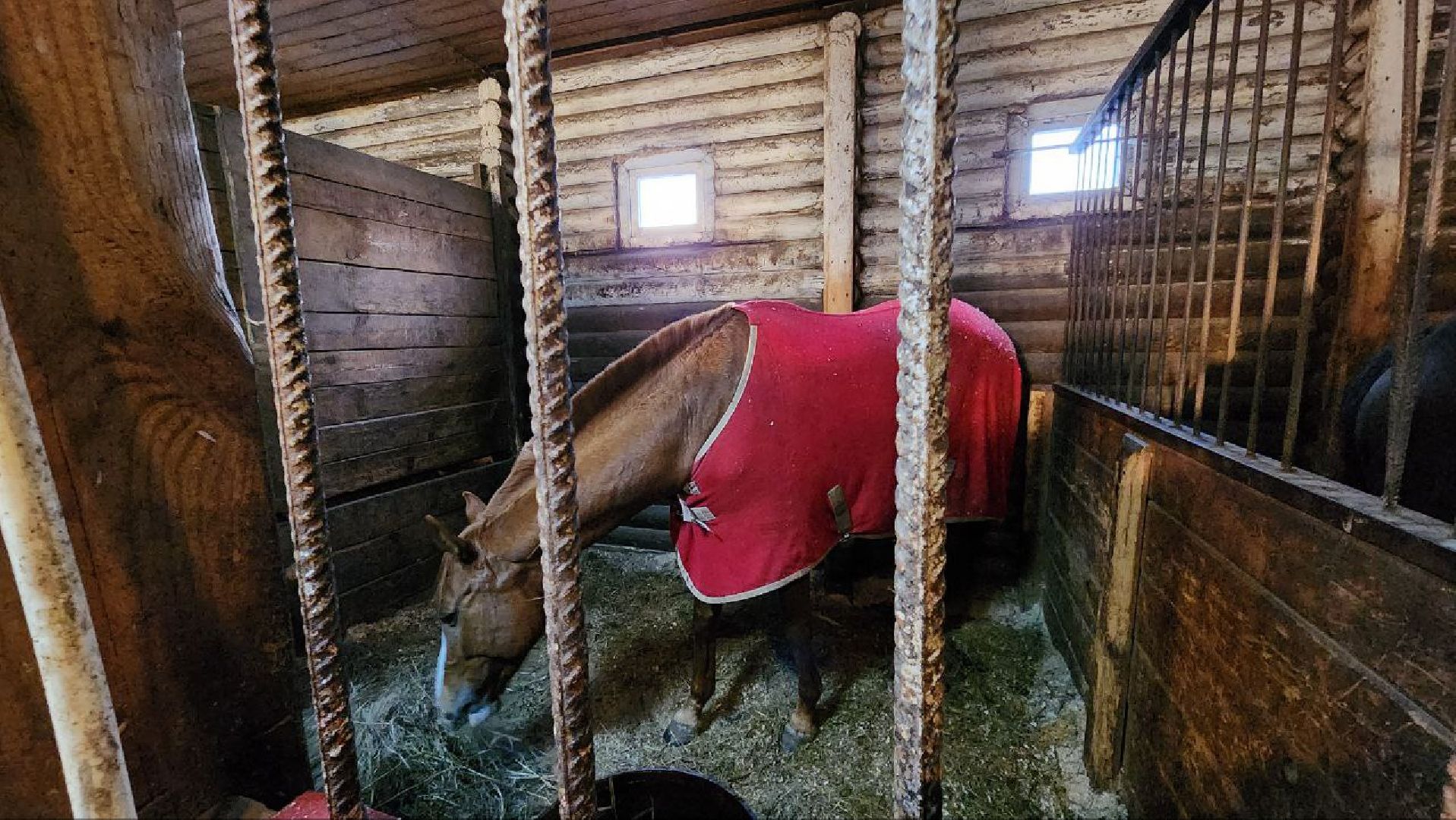 Люберцы, Люберецкий конный двор, малаховка, конюшня,