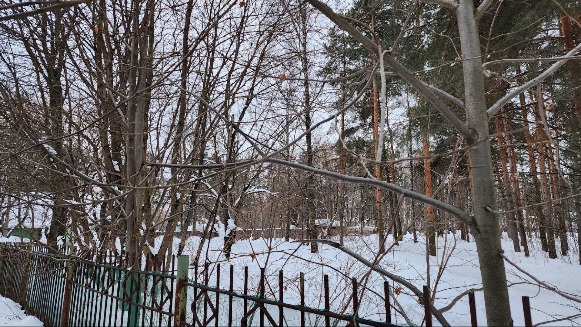 Люберцы, Люберецкий конный двор, малаховка, конюшня,