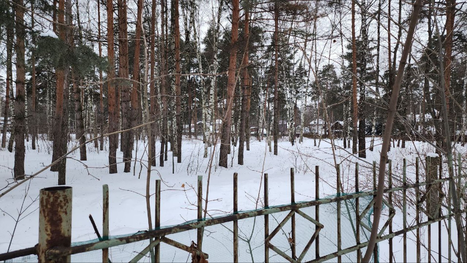 Люберцы, Люберецкий конный двор, малаховка, конюшня,