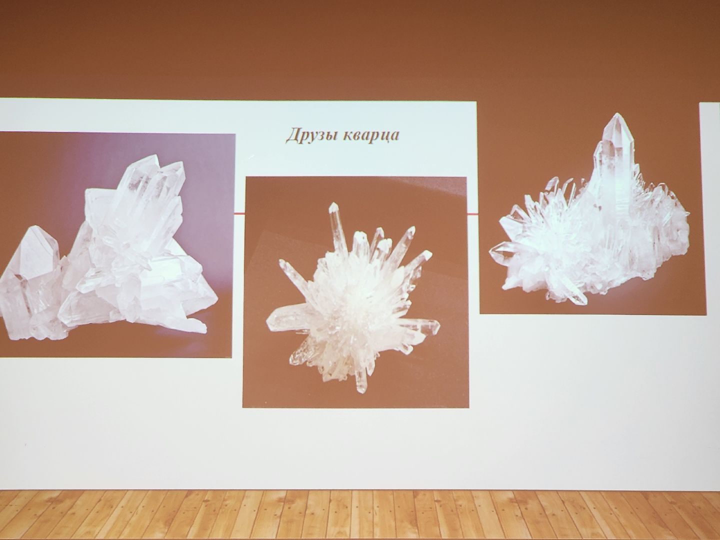 познаю мир, занятия для детей,