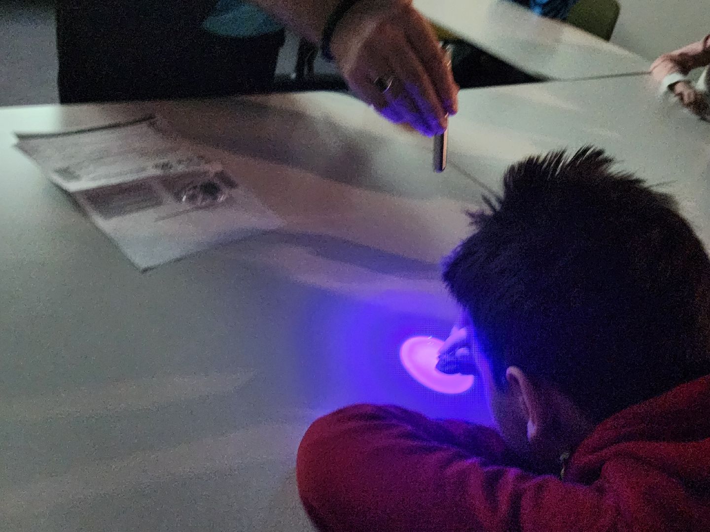 познаю мир, занятия для детей,