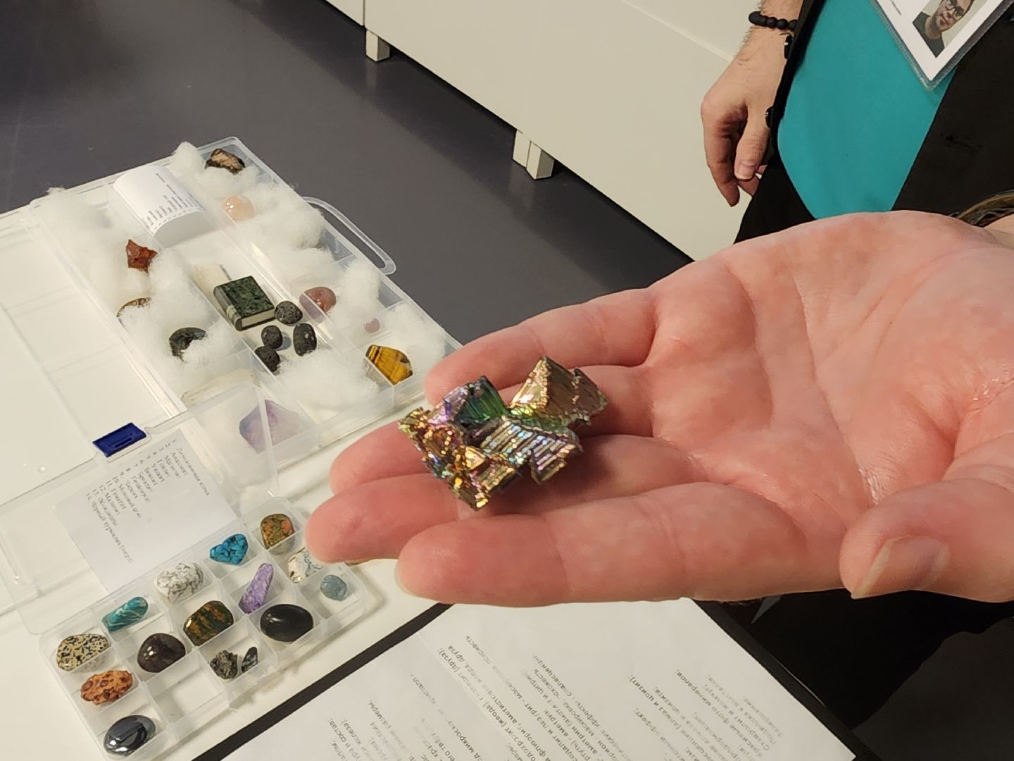 познаю мир, занятия для детей,