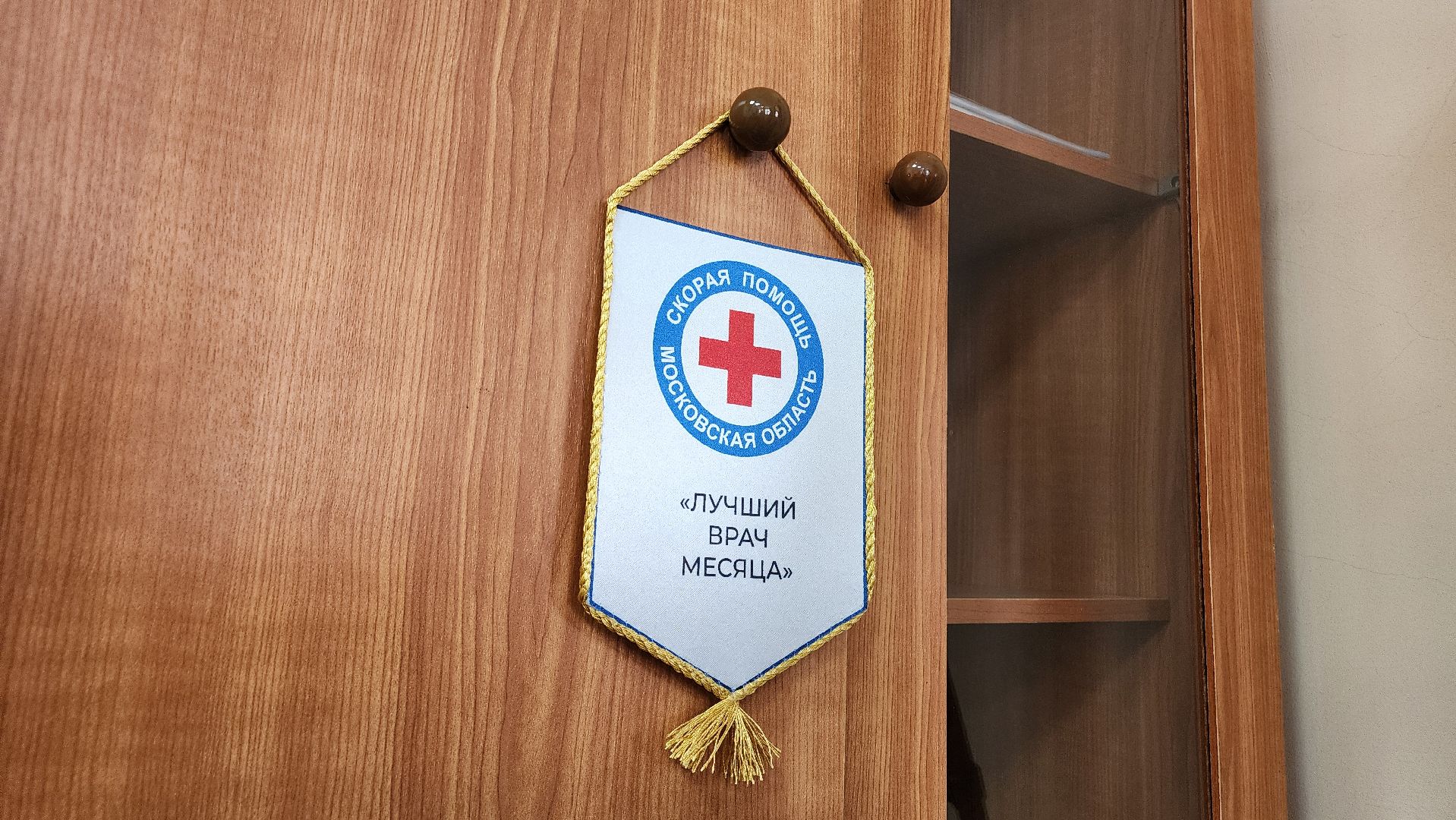 Егорьевск, скорая медицинская помощь, Подмосковье, Московская область,