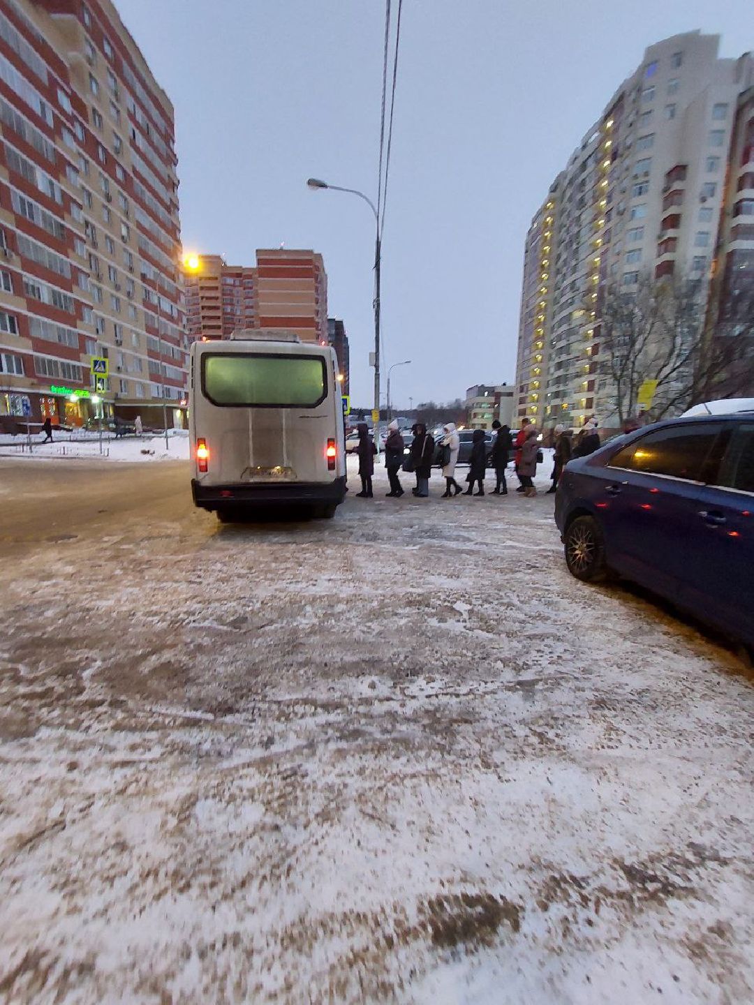 Видное, общество