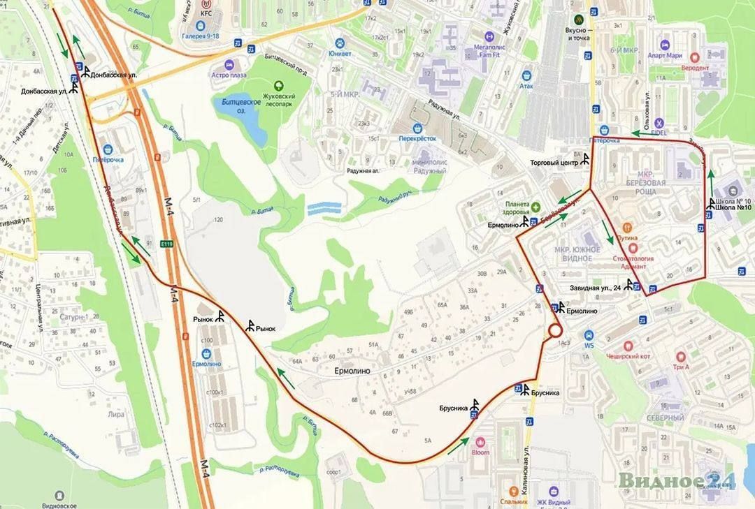 Видное, общество