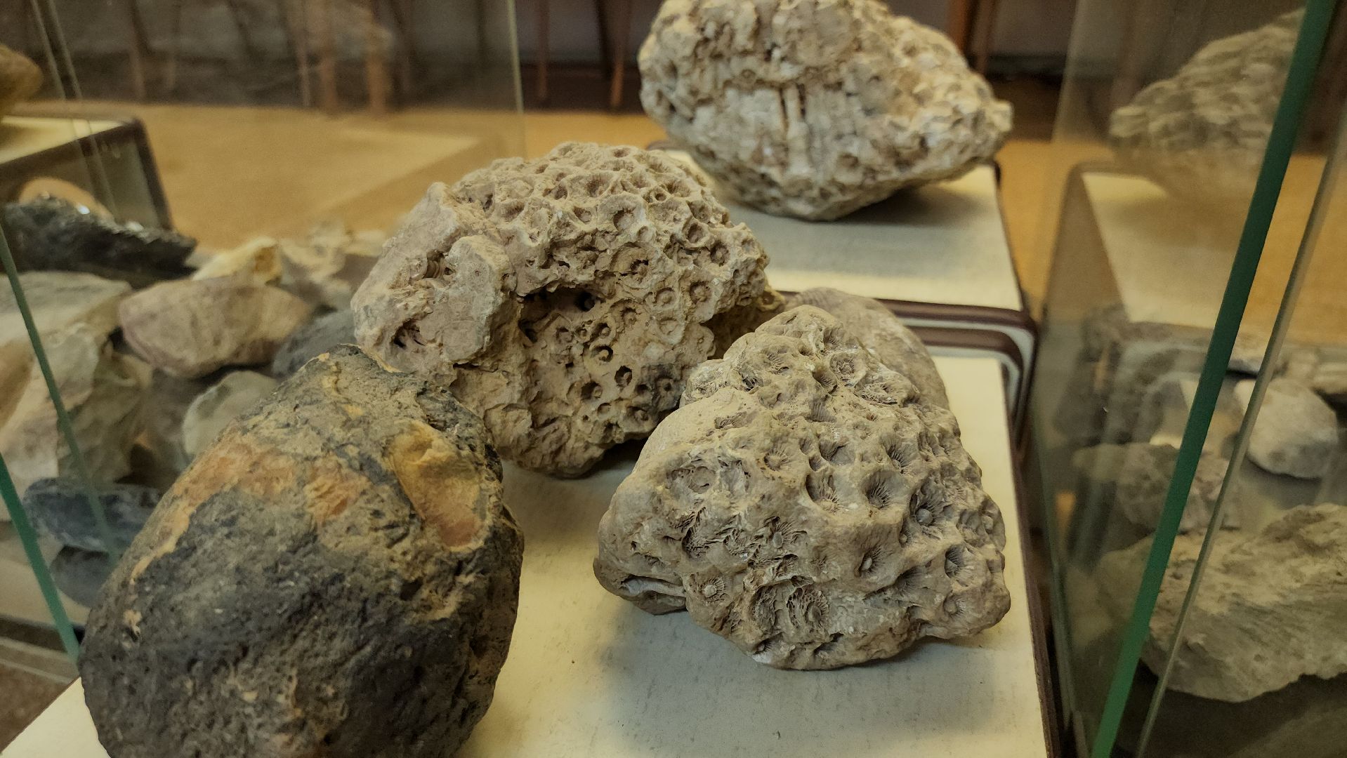 музей, краеведческий музей, школьный музей, школа, руза, рузский городской округ, московская область,