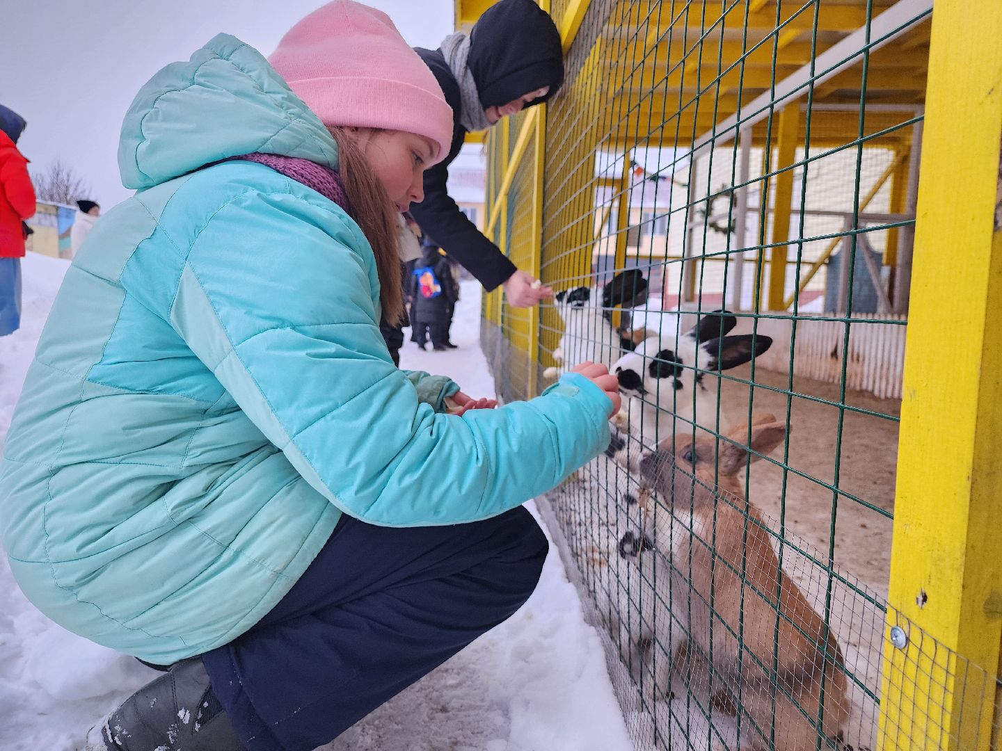 серпухов, подмосковье, дети, жены участников сво, страусиная ферма, МГЕР, диана алумянц,