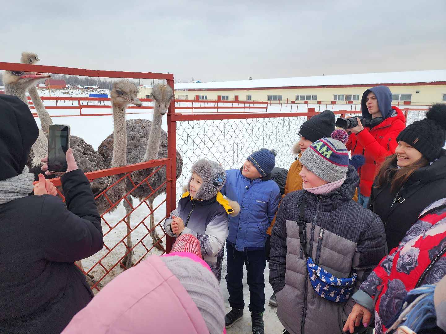 серпухов, подмосковье, дети, жены участников сво, страусиная ферма, МГЕР, диана алумянц,