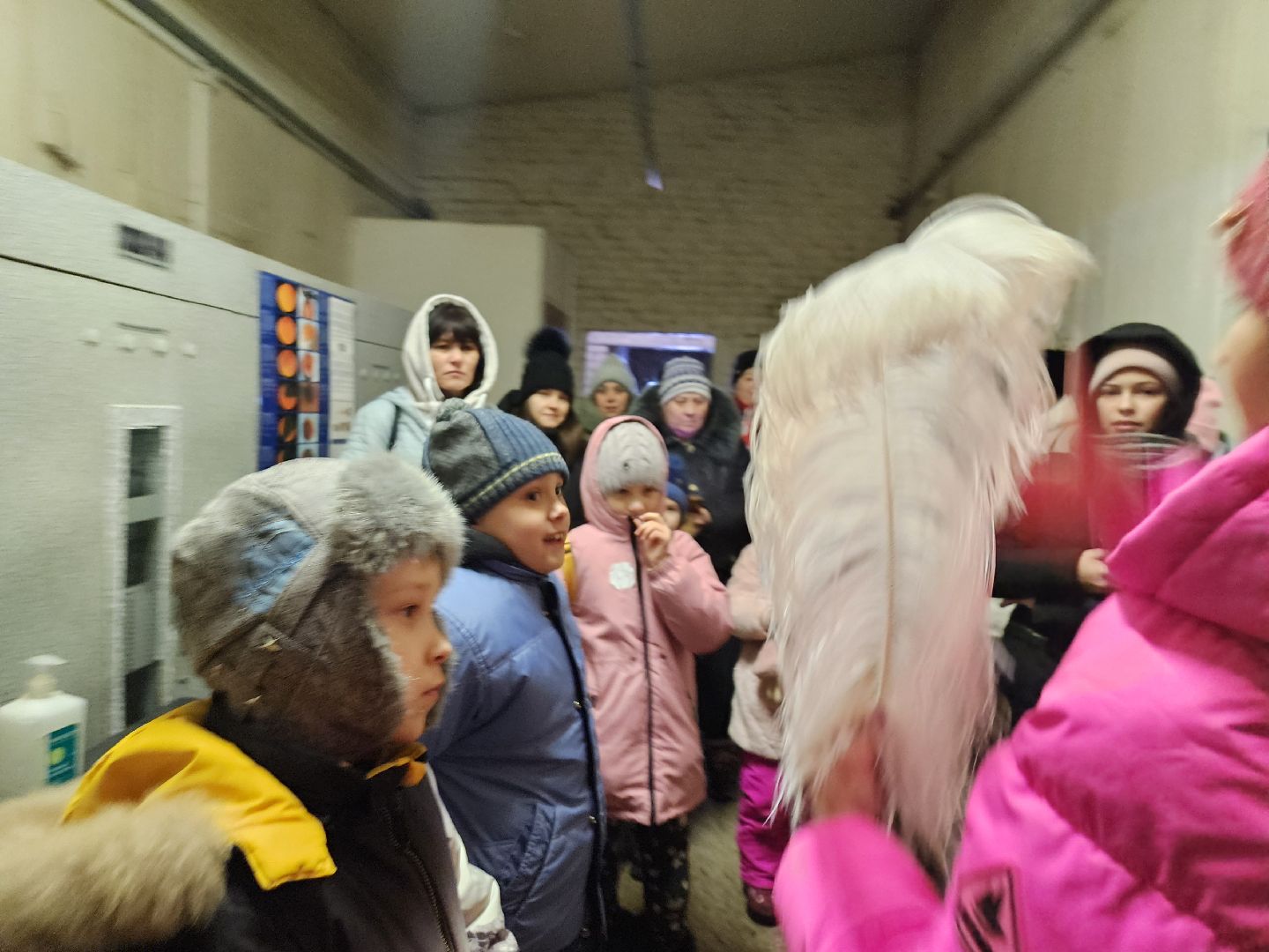 серпухов, подмосковье, дети, жены участников сво, страусиная ферма, МГЕР, диана алумянц,