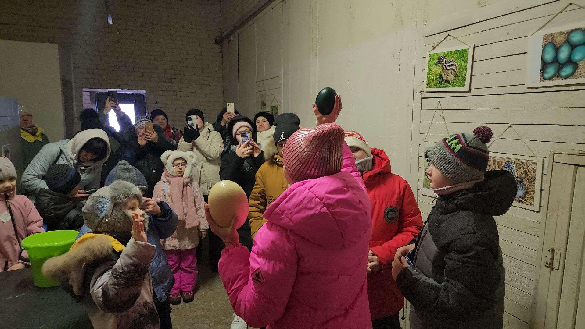 серпухов, подмосковье, дети, жены участников сво, страусиная ферма, МГЕР, диана алумянц,