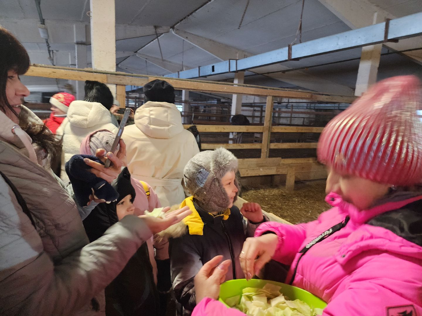 серпухов, подмосковье, дети, жены участников сво, страусиная ферма, МГЕР, диана алумянц,