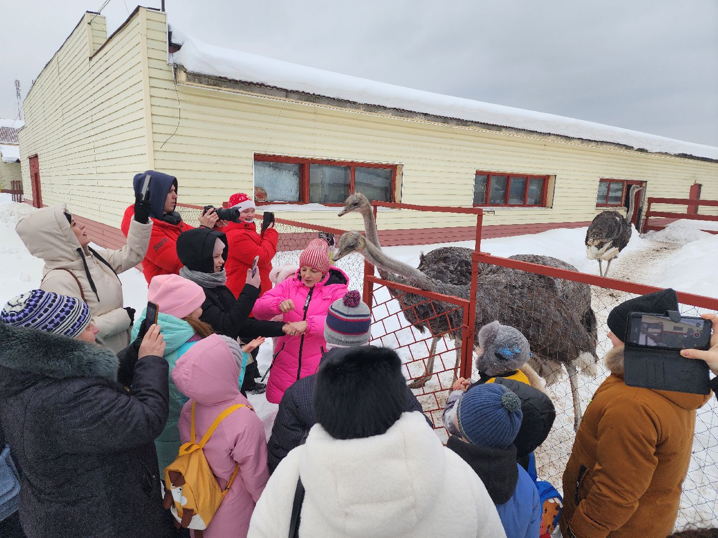 серпухов, подмосковье, дети, жены участников сво, страусиная ферма, МГЕР, диана алумянц,