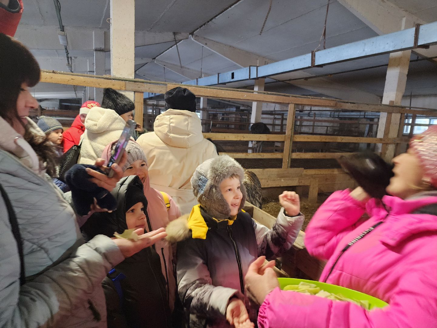 серпухов, подмосковье, дети, жены участников сво, страусиная ферма, МГЕР, диана алумянц,