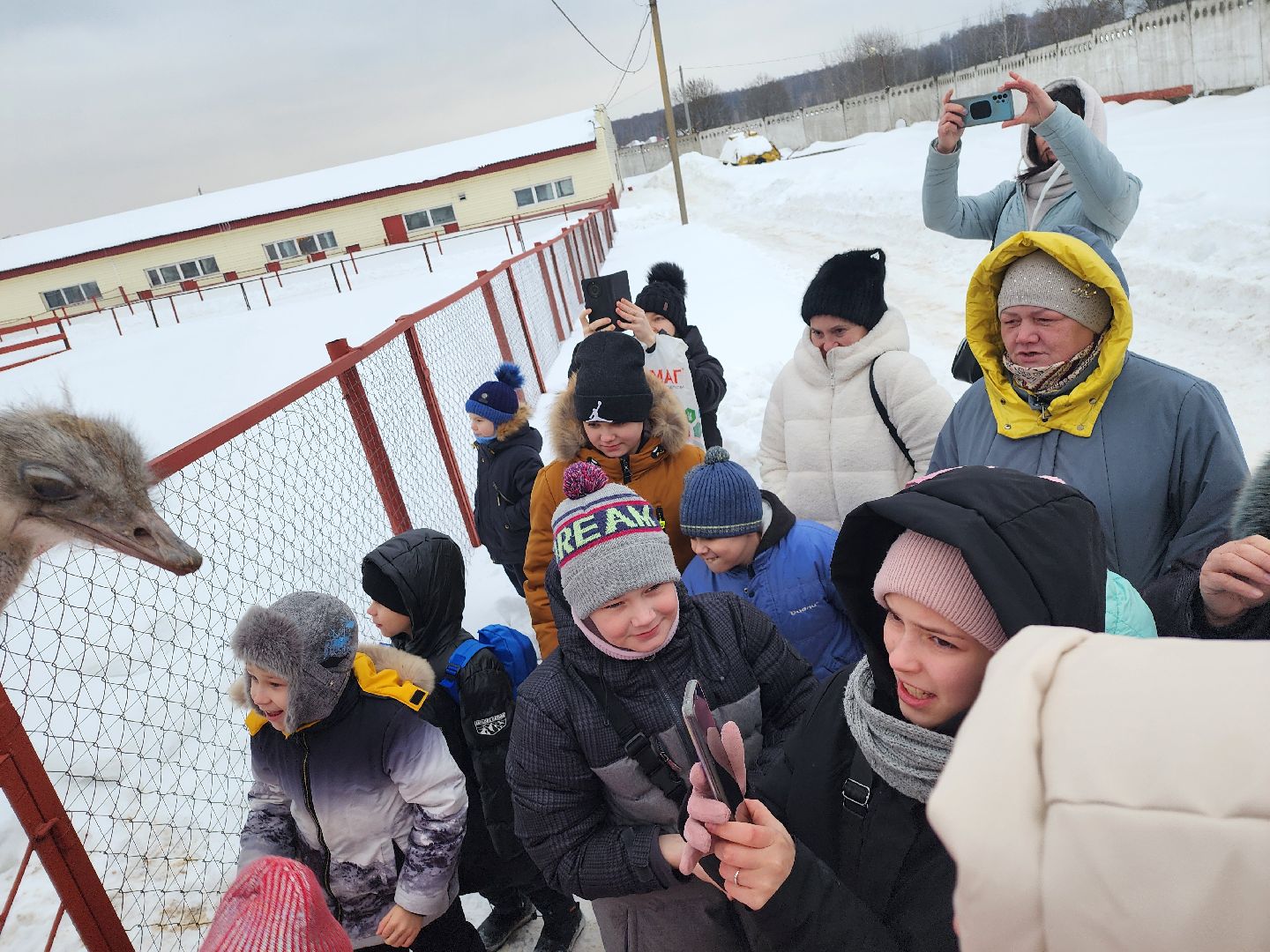 серпухов, подмосковье, дети, жены участников сво, страусиная ферма, МГЕР, диана алумянц,
