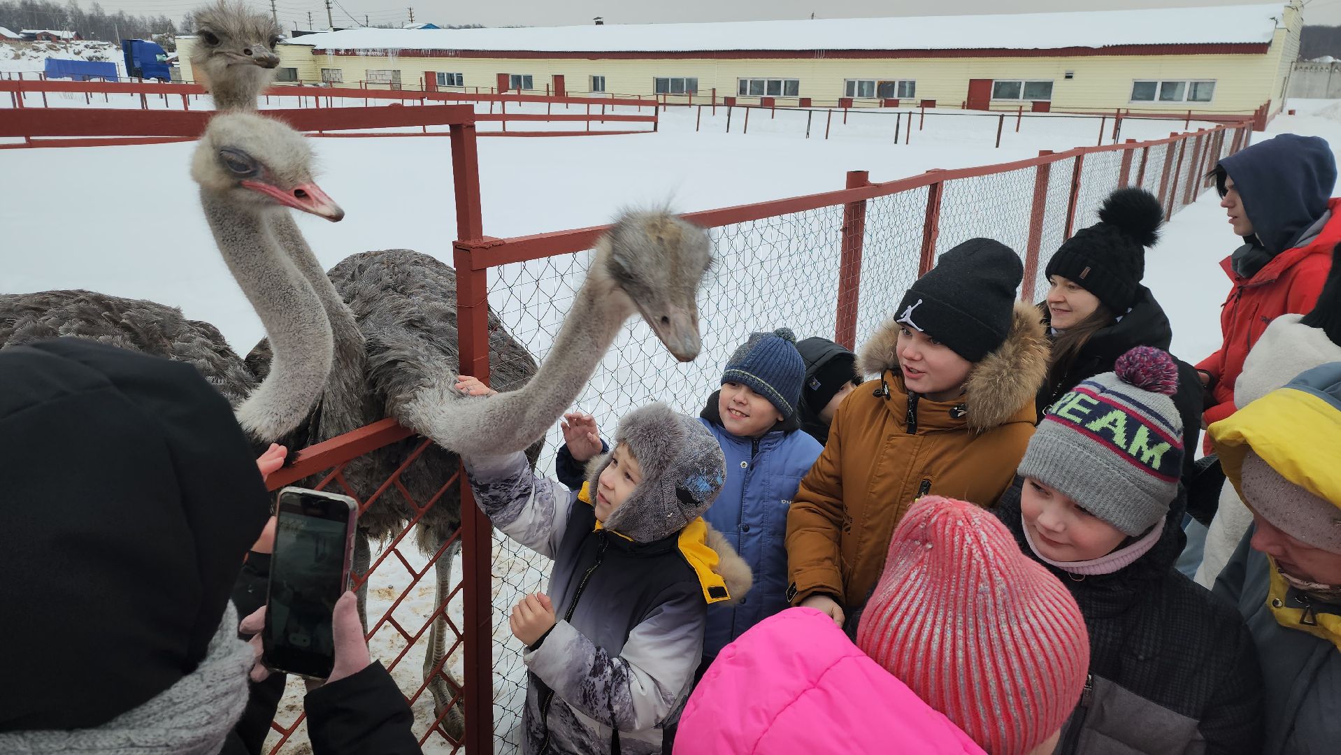 серпухов, подмосковье, дети, жены участников сво, страусиная ферма, МГЕР, диана алумянц,
