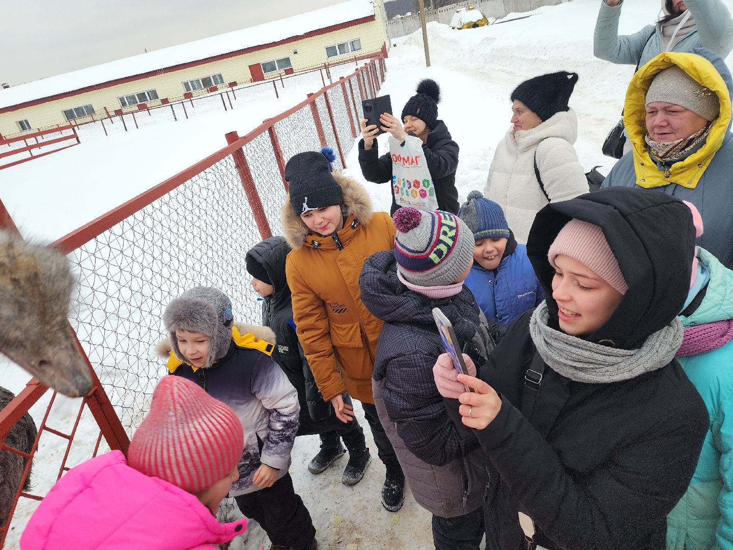 серпухов, подмосковье, дети, жены участников сво, страусиная ферма, МГЕР, диана алумянц,