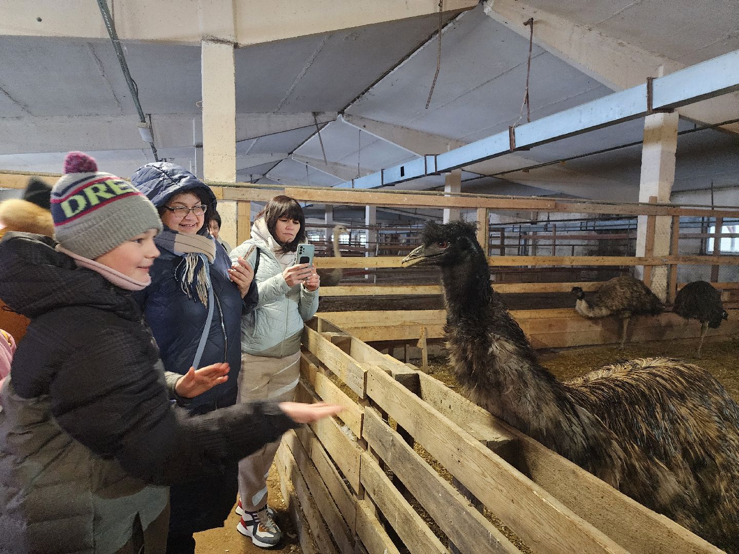 серпухов, подмосковье, дети, жены участников сво, страусиная ферма, МГЕР, диана алумянц,