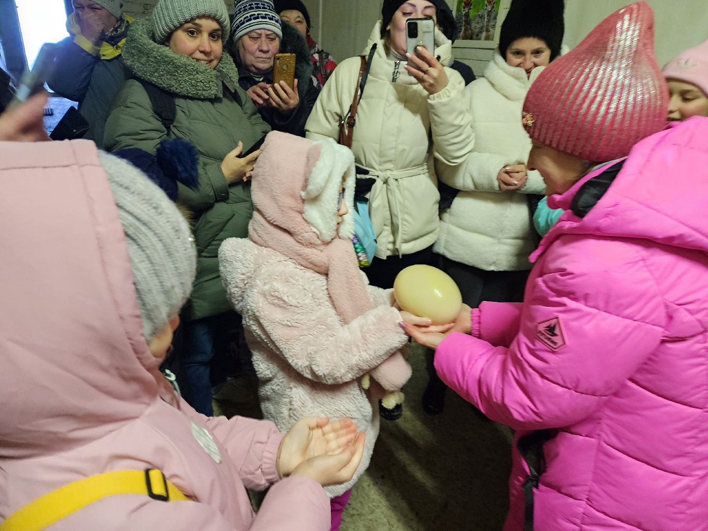 серпухов, подмосковье, дети, жены участников сво, страусиная ферма, МГЕР, диана алумянц,