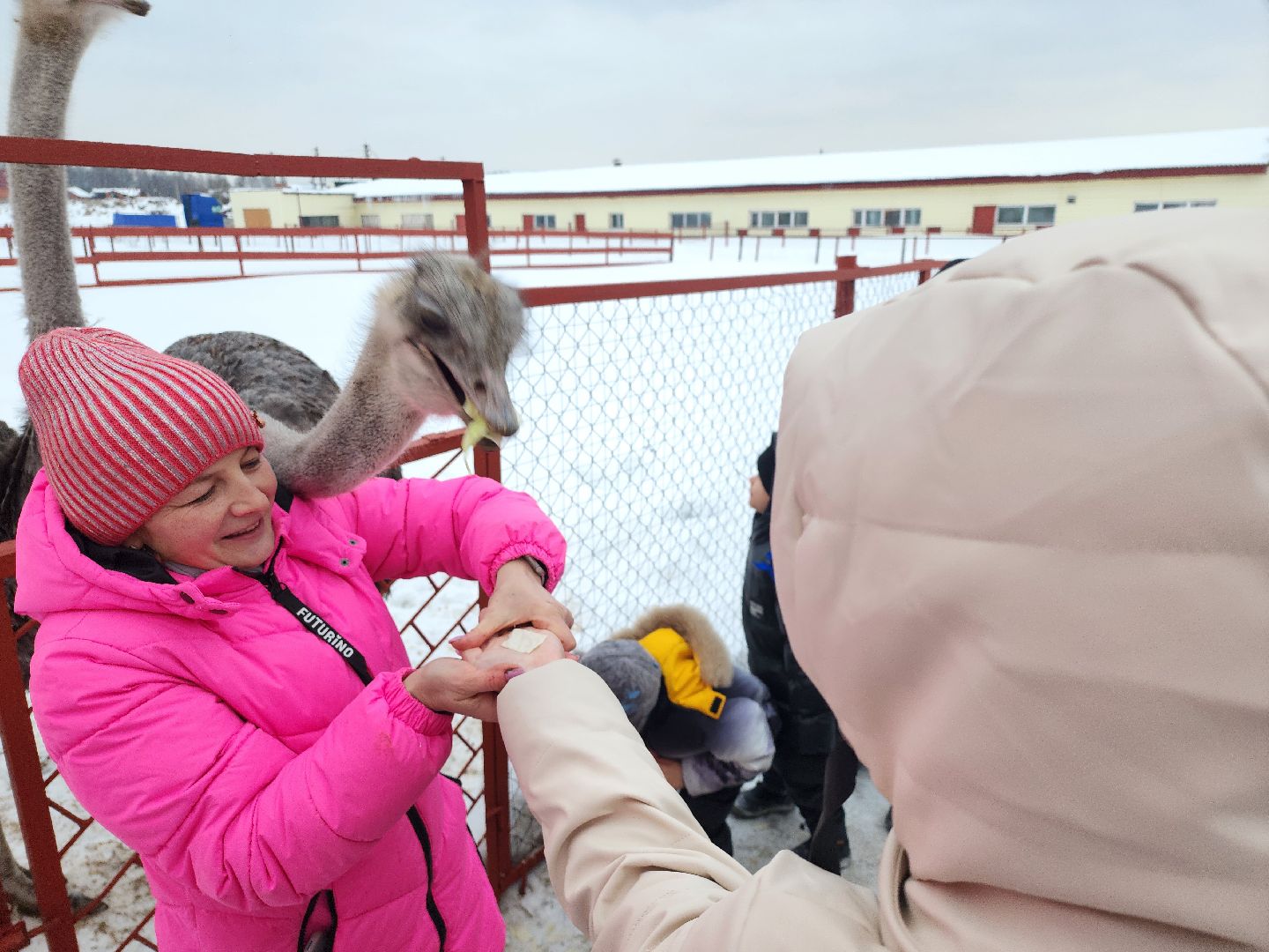 серпухов, подмосковье, дети, жены участников сво, страусиная ферма, МГЕР, диана алумянц,