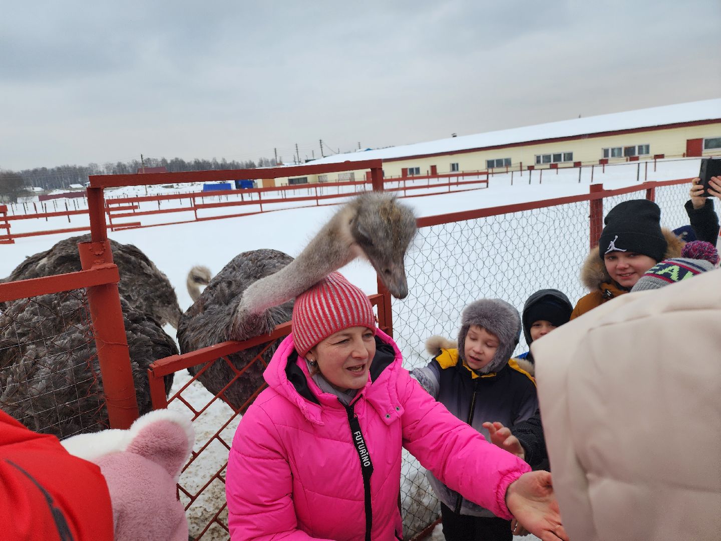 серпухов, подмосковье, дети, жены участников сво, страусиная ферма, МГЕР, диана алумянц,
