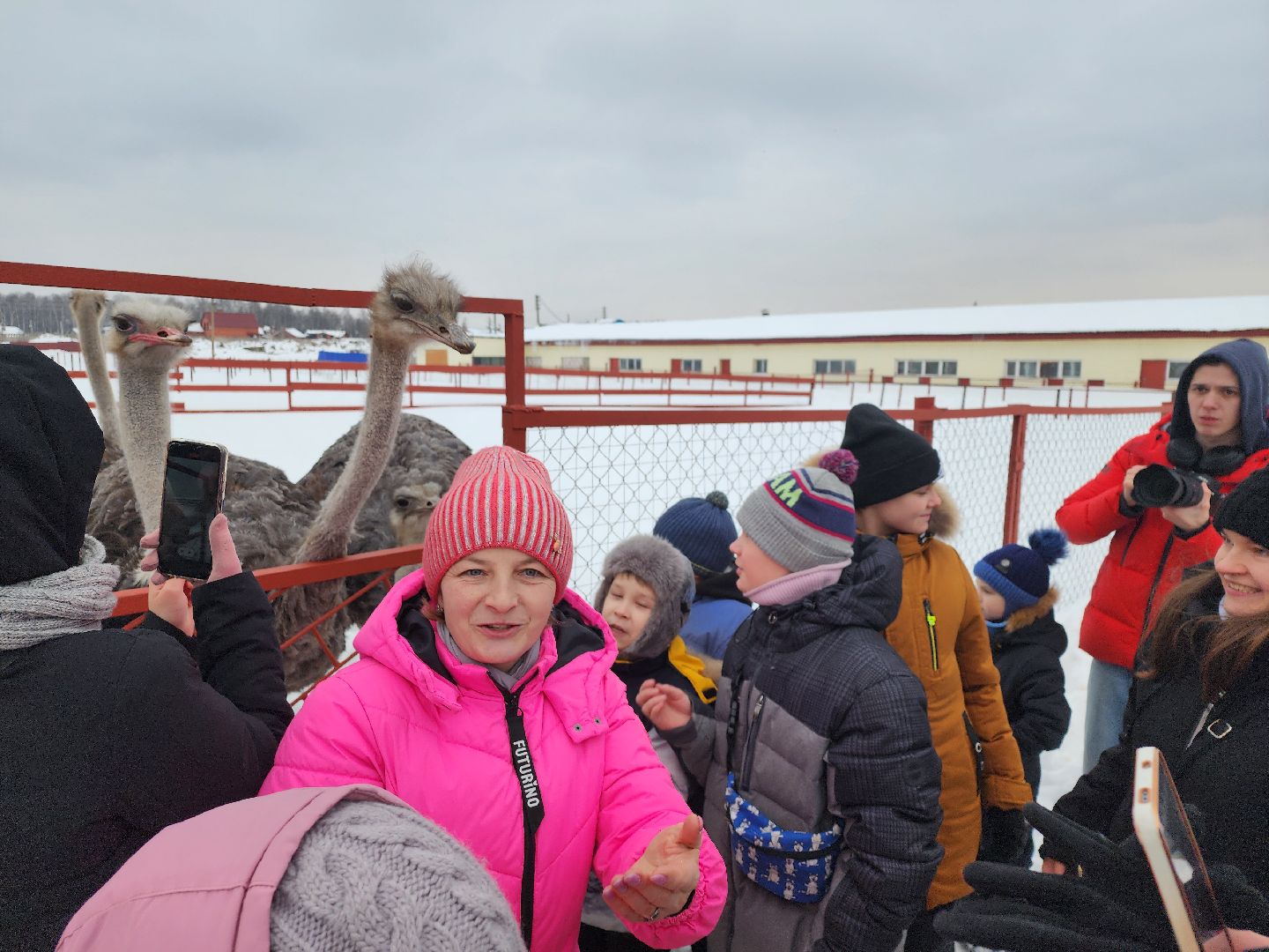 серпухов, подмосковье, дети, жены участников сво, страусиная ферма, МГЕР, диана алумянц,