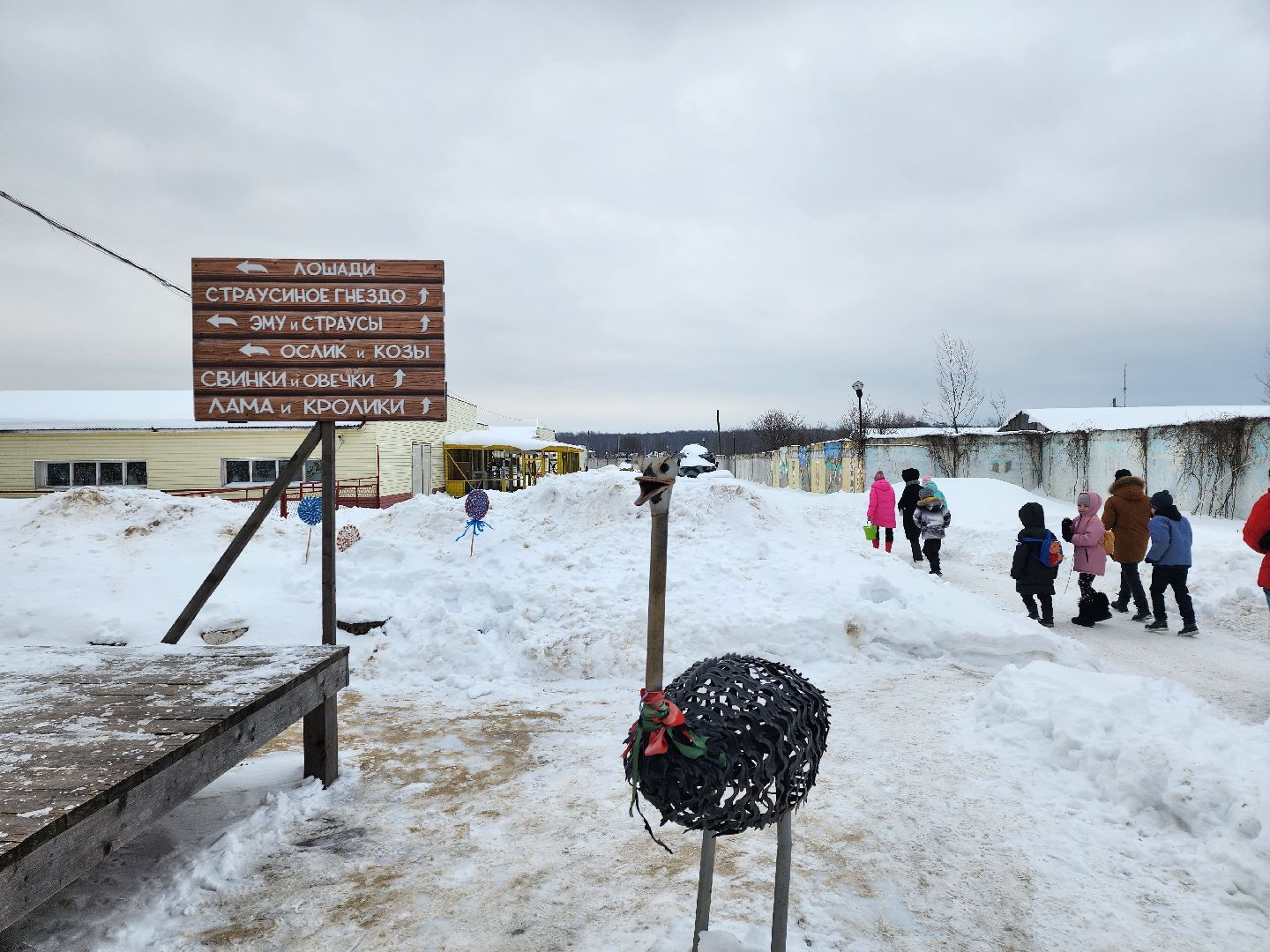 серпухов, подмосковье, дети, жены участников сво, страусиная ферма, МГЕР, диана алумянц,