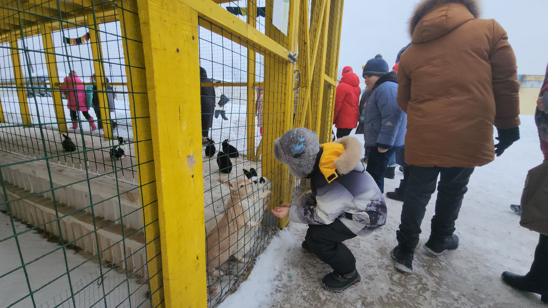 серпухов, подмосковье, дети, жены участников сво, страусиная ферма, МГЕР, диана алумянц,
