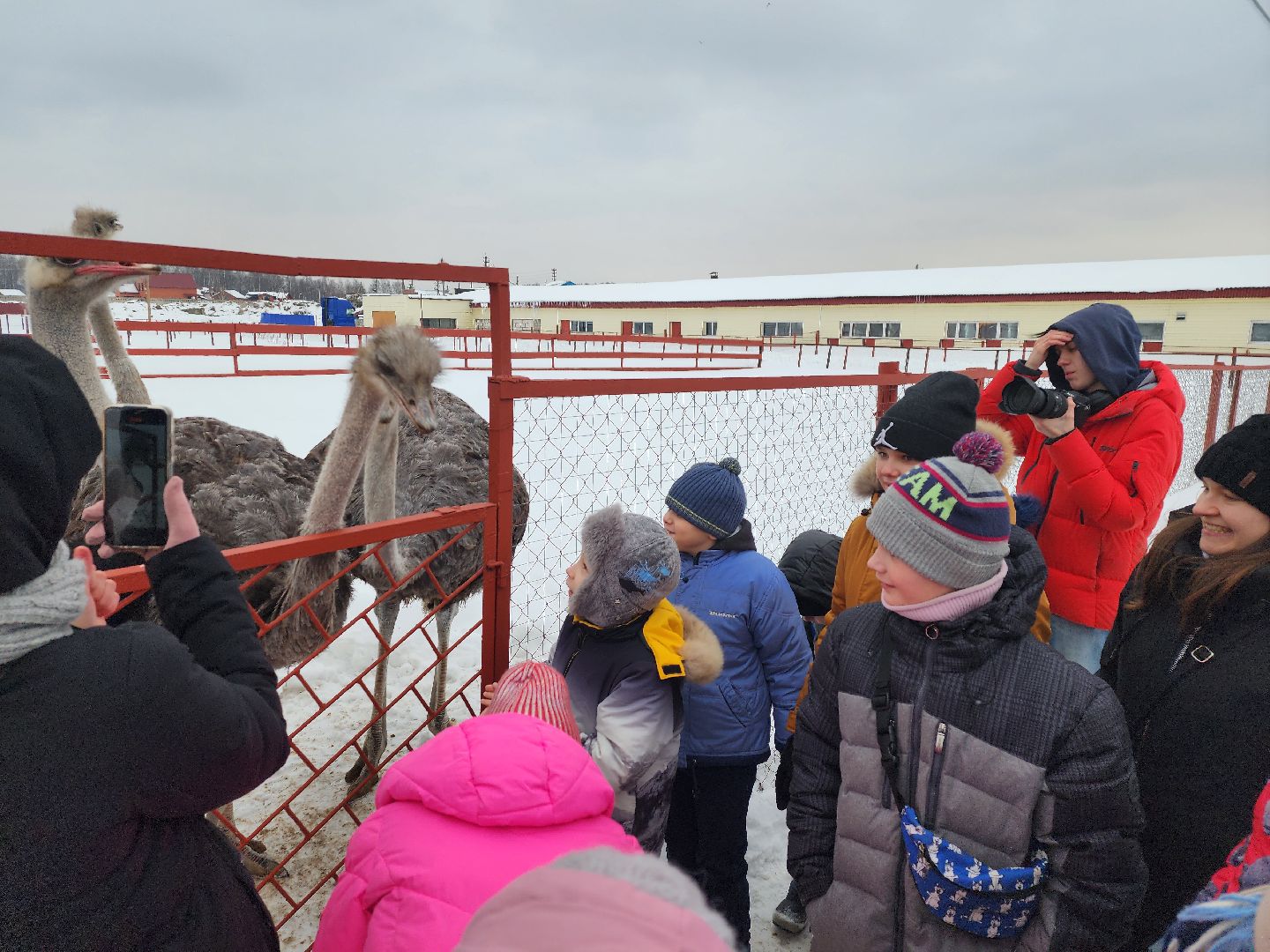 серпухов, подмосковье, дети, жены участников сво, страусиная ферма, МГЕР, диана алумянц,
