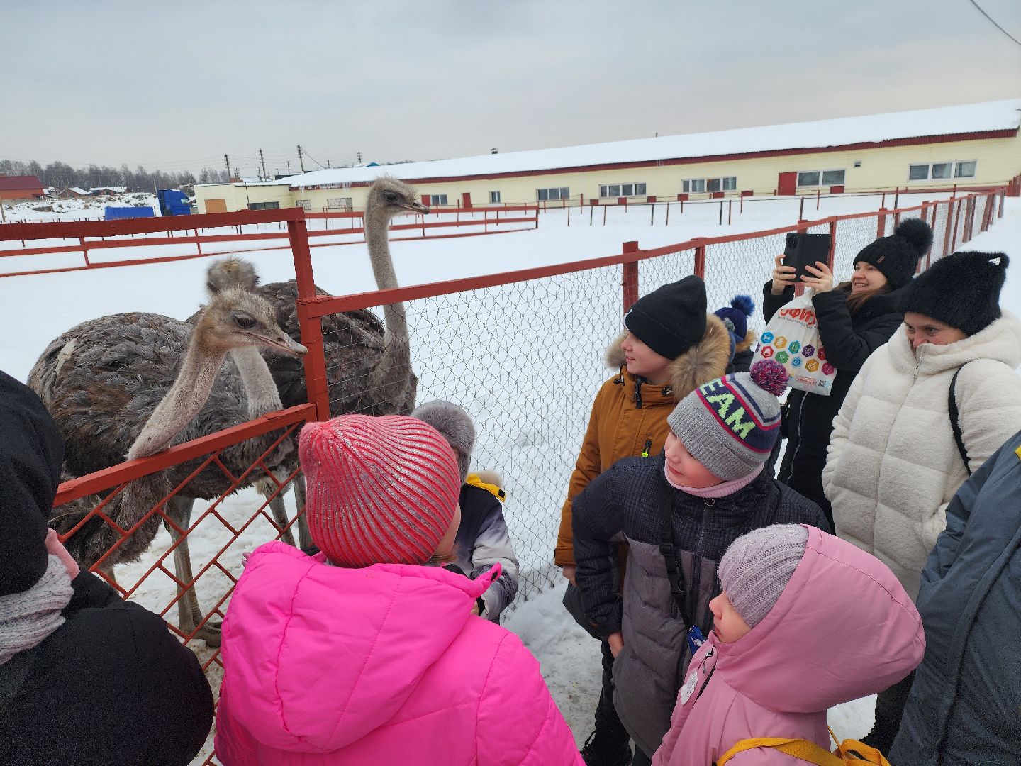 серпухов, подмосковье, дети, жены участников сво, страусиная ферма, МГЕР, диана алумянц,