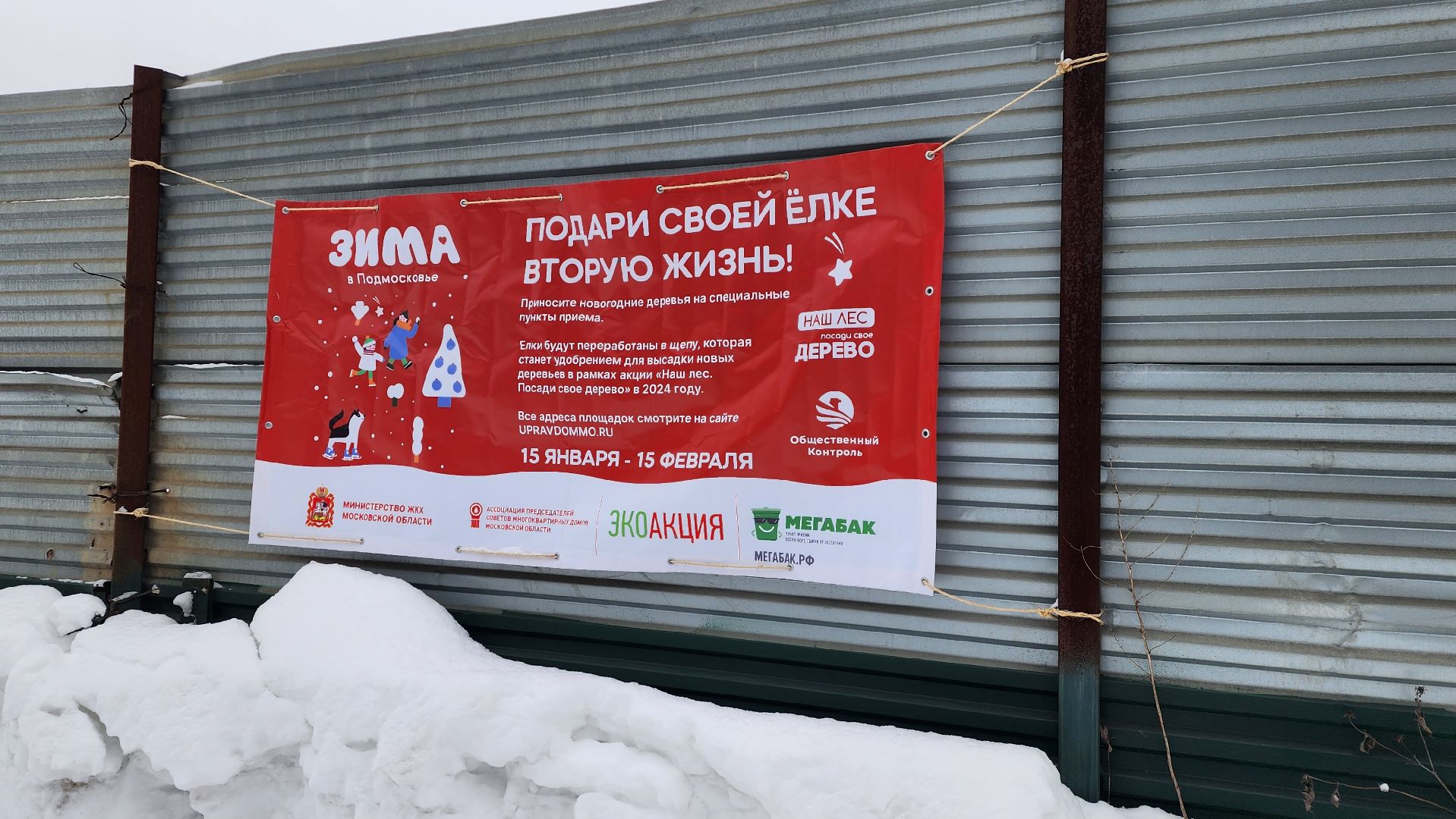 подари елке вторую жизнь, акция, мегабак, Алексей третьяков, МинЖКХ,